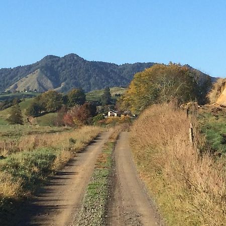 Waiotahe Dairy Farm Hideout Villa Waiotahi Kültér fotó